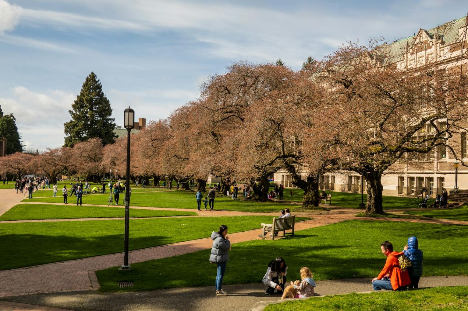 WHICH ENGINEERING COLLEGE HAS HIGHEST PACKAGE IN WORLD intelligence overview